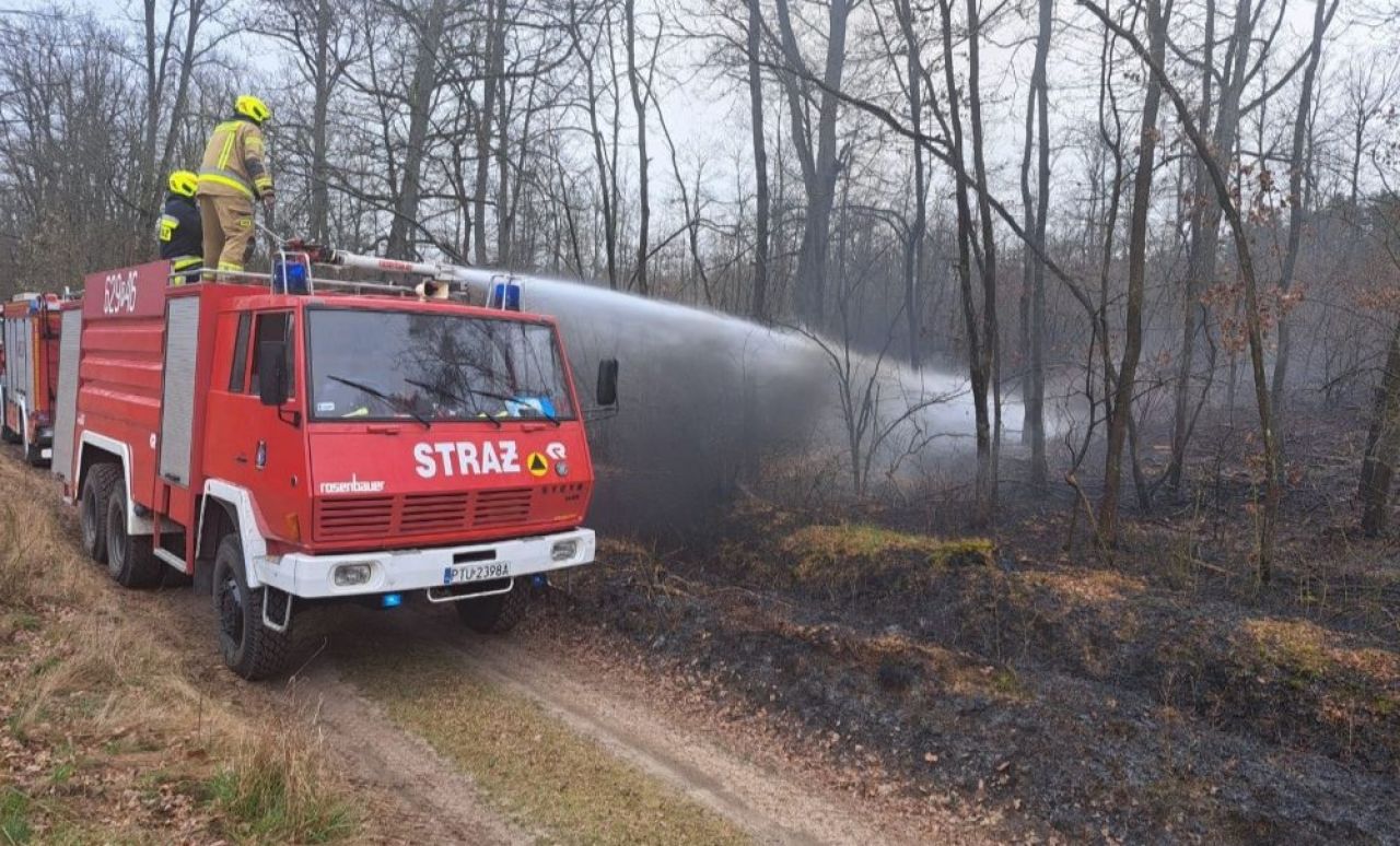 Pierwszy w tym roku pożar w lasach. Nadleśnictwo Turek apeluje o ostrożność
