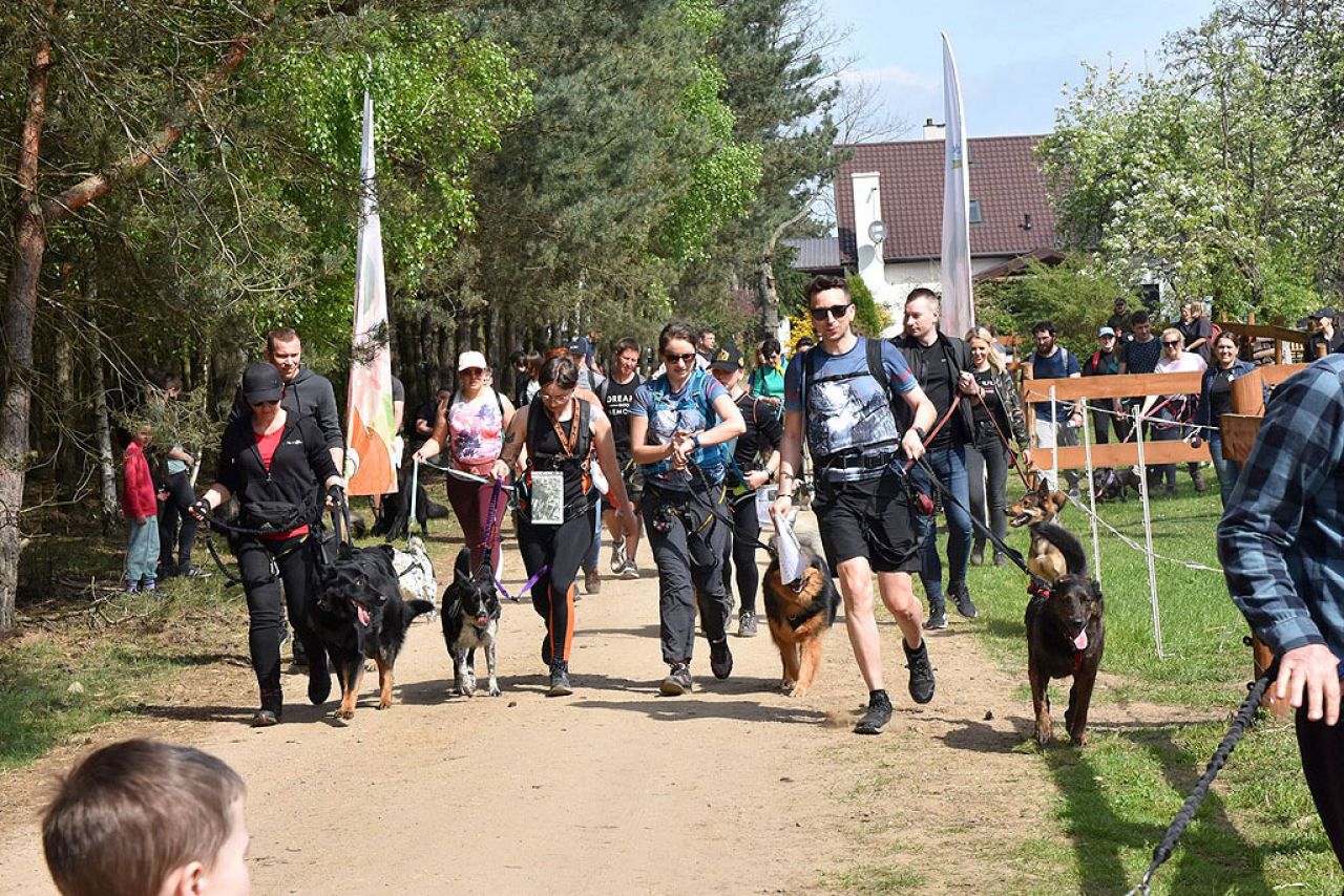 Wędrowali z psami i poznawali tajemnice lasów. Dogtrekking w Tarnowej czyli spacer z psijacielem już po raz drugi 