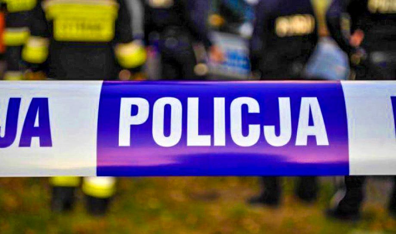 Tragiczny wypadek w Kiszewach. Dwie kobiety zginęły na miejscu po zderzeniu z łosiem na DK72